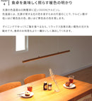 LEDペンダントライト アントール