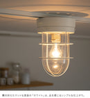 シーリングライト 1灯 モアナ