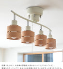 レダリモート 4灯 本体+トリゴ