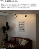 スポットライト 1灯 サレディアダクト