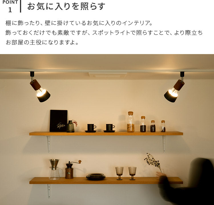 スポットライト 1灯 バロンダクト
