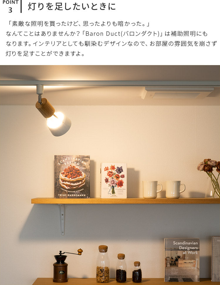 スポットライト 1灯 バロンダクト