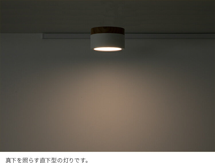 LEDシーリングライト カロン