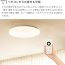 ●フラヴィアリモート 1灯 本体＋トリゴ