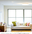 ●フラヴィアリモート 1灯 本体＋トリゴ