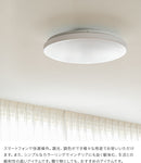 ●フラヴィアリモート 1灯 本体＋トリゴ