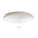 ●フラヴィアリモート 1灯 本体＋トリゴ