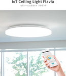 ●フラヴィアリモート 1灯 本体＋トリゴ