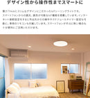 ●フラヴィアリモート 1灯 本体＋トリゴ