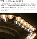 ●フラヴィアリモート 1灯 本体＋トリゴ