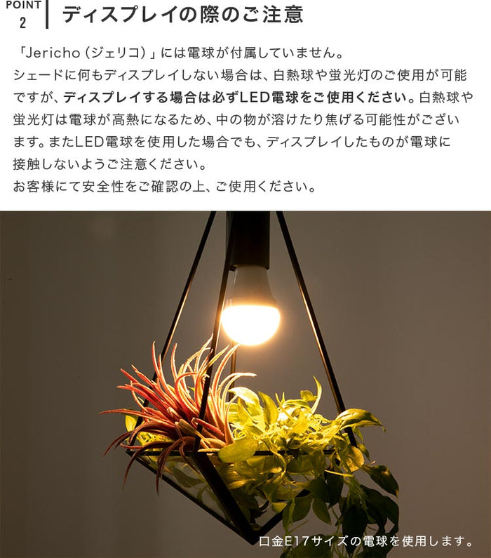 専用★ペンダントライト 1灯 ジェリコ①②　2点セット beaubellep78_6_700x.jpg?v=