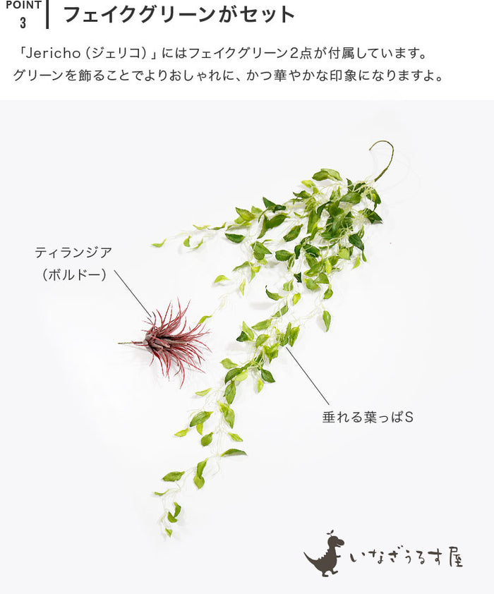 beaubellep78_7_700x.jpg?v=