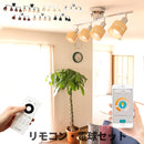 レダリモート 4灯 本体+トリゴ