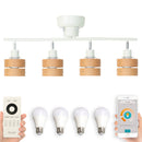 レダリモート 4灯 本体+トリゴ