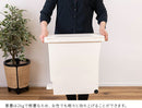バタフライペール 32L