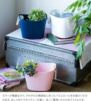 バルコロール Sサイズ