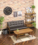 2Pソファ レトロスタイル フレンズ