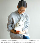 ファーストライト miffy and friends