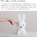 ファーストライト miffy and friends