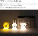 Bundle Of Light 3pcs SET