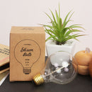 白熱球 エジソンバルブ グローブ（S）