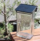 貯金箱 ルイスグラスコインバンク