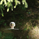 リサ・ラーソン スウェーデンの森の白いふくろう