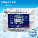 保冷剤 クーラーショック L