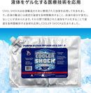 保冷剤 クーラーショック L