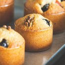 BOROSIL VISION KATORIE SMALL(KS)