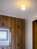 シーリングライト 1灯 小型シーリングライト GEM-6912