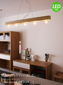 キャニオン ペンダントランプ Canyon pendant lamp
