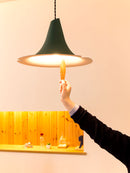 ペンダントライト 1灯 スナフキンの忘れ物