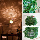 オーランド [Orland P/L]