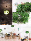 ペンダントライト オーランド ビッグ [ORLAND-BIG]