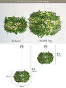 ペンダントライト オーランド ビッグ [ORLAND-BIG]