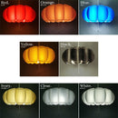 パンプキン 2灯