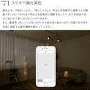 TOLIGO 調光調色LED電球 2.4G+wifi