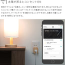 TOLIGO コンセント1口 ナチュラル